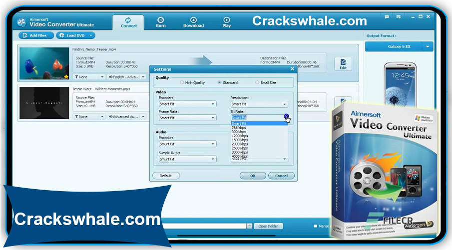 Aimersoft video converter Crack