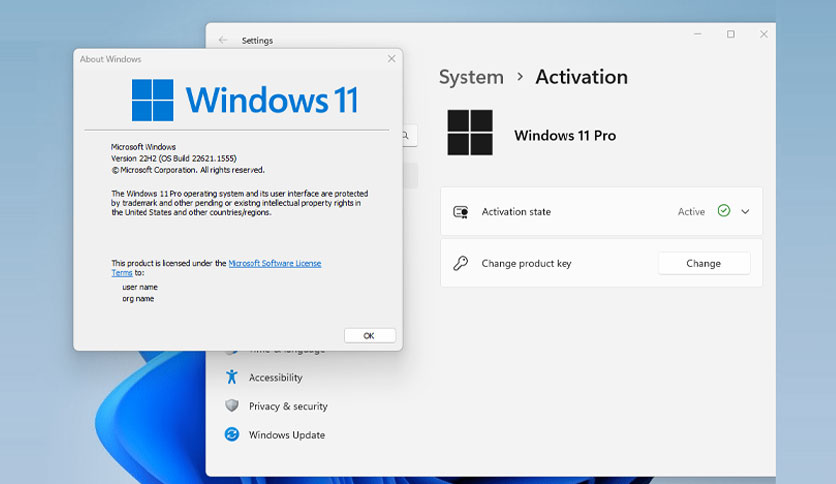 Live11 (Windows 11 Live Disk) Crack