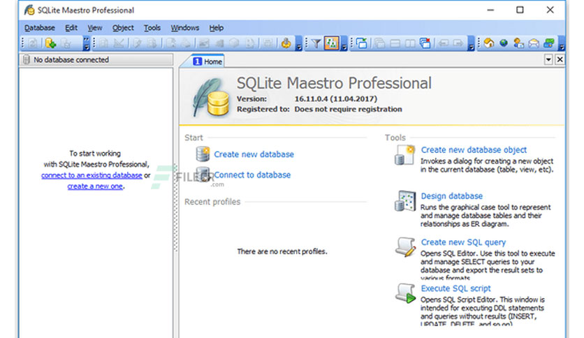 SQLite Maestro Professional Crack