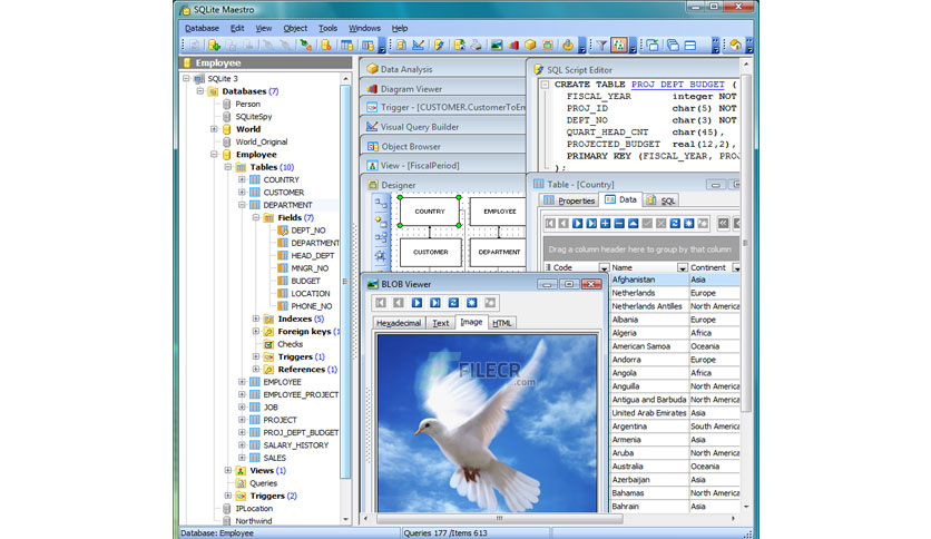 SQLite Maestro Professional Crack