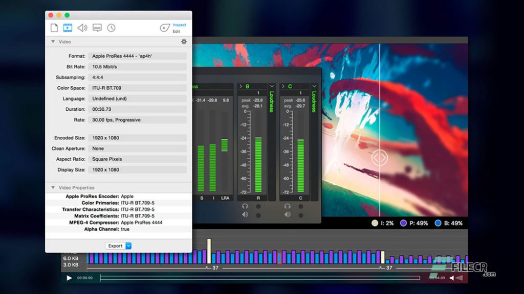 Telestream Switch Pro Crack